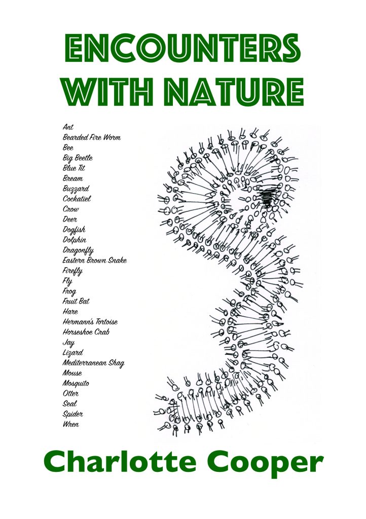 Encounters With Nature by Charlotte Cooper cover, drawing of bearded fire worm, green and white.